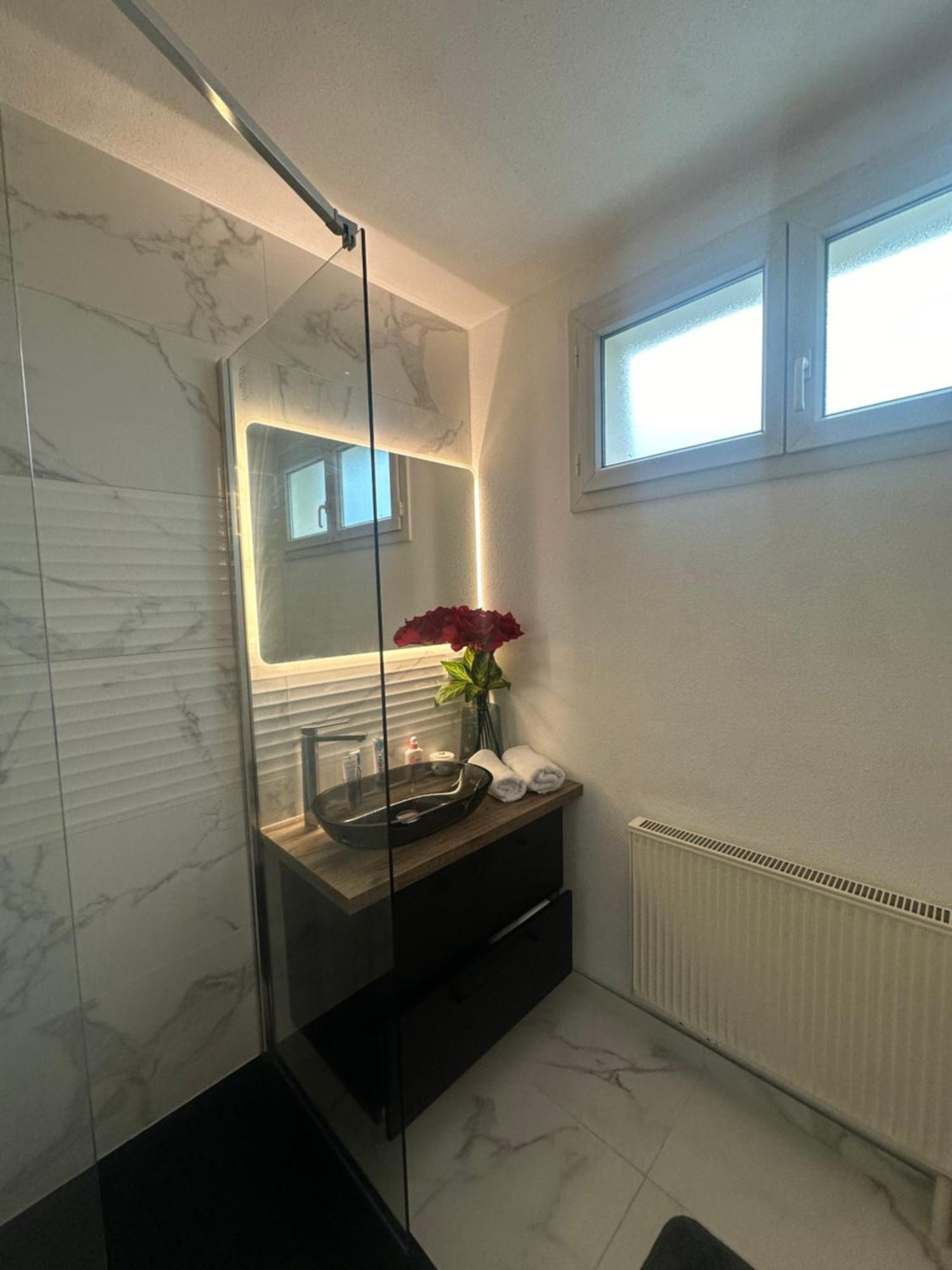 Tres Beau Trois Pieces Avec Vue Degagee Daire Strazburg Dış mekan fotoğraf